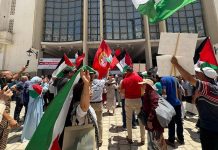 قوافل كسر الحصار تتحرك من أربع قارات نحو قطاع غزة قوافل كسر الحصار تتحرك من أربع قارات نحو قطاع غزة