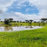 تساقطات مطرية متفاوتة في مناطق متفرقة من موريتانيا (مقاييس) تساقطات مطرية متفاوتة في مناطق متفرقة من موريتانيا (مقاييس)