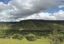 أمطار متفاوتة في موريتانيا خلال 24 ساعة الماضية أمطار متفاوتة في موريتانيا خلال 24 ساعة الماضية