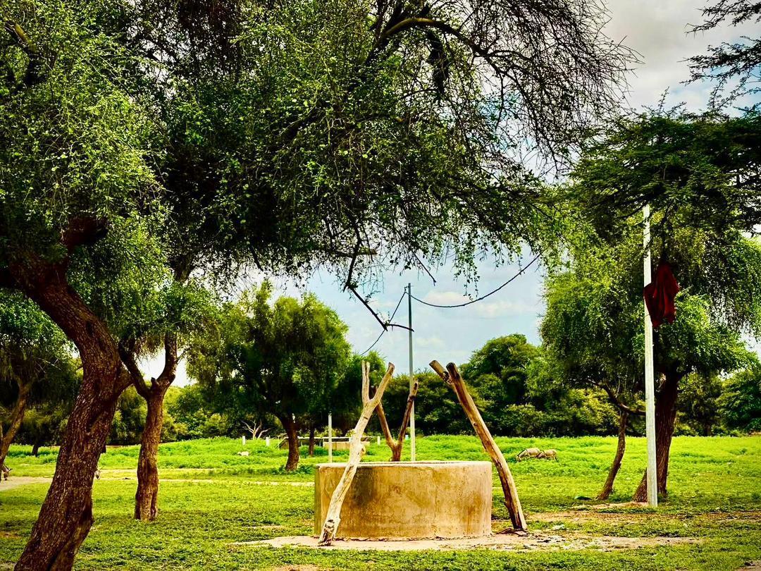 تساقطات مطرية متفاوتة في مناطق متفرقة من موريتانيا (مقاييس) تساقطات مطرية متفاوتة في مناطق متفرقة من موريتانيا (مقاييس)