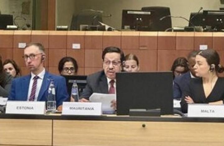 موريتانيا تطالب بدور أوروبي في إقامة الدولة الفلسطينية موريتانيا تطالب بدور أوروبي في إقامة الدولة الفلسطينية