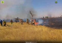 حرائق تلتهم 2000 هكتار من المراعي بالحوض الغربي حرائق تلتهم 2000 هكتار من المراعي بالحوض الغربي