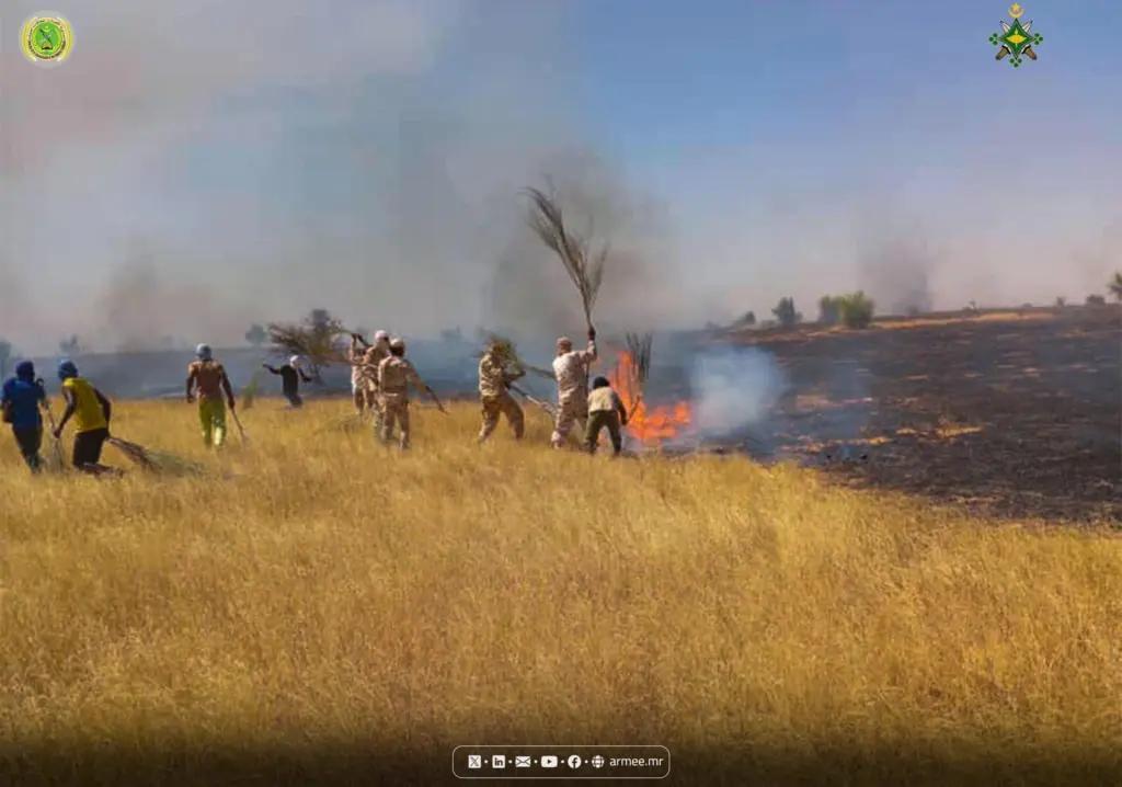 حرائق تلتهم 2000 هكتار من المراعي بالحوض الغربي حرائق تلتهم 2000 هكتار من المراعي بالحوض الغربي