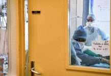 الحمى النزيفية.. 404 إصابات و42 وفاة في موريتانيا والسنغال الحمى النزيفية.. 404 إصابات و42 وفاة في موريتانيا والسنغال