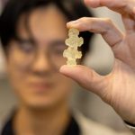 الشعاب المرجانية تلهم تصميم أدوات جراحية مرنة الشعاب المرجانية تلهم تصميم أدوات جراحية مرنة