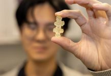 الشعاب المرجانية تلهم تصميم أدوات جراحية مرنة الشعاب المرجانية تلهم تصميم أدوات جراحية مرنة