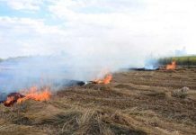 ملاحقة قانونية للمتسببين في حرائق غورغول ملاحقة قانونية للمتسببين في حرائق غورغول