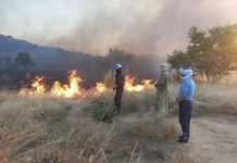 لعصابه: تضرر “مساحات واسعة” من المراعي جراء حريق في كنكوصه لعصابه: تضرر "مساحات واسعة" من المراعي جراء حريق في كنكوصه