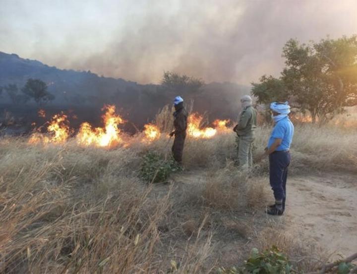 لعصابه: تضرر لعصابه: تضرر