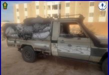 روصو: توقيف 7 أشخاص متورطين في قطع الأشجار بصورة غير قانونية روصو: توقيف 7 أشخاص متورطين في قطع الأشجار بصورة غير قانونية