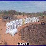 القبض على عصابة تحويل أشجار الغابات إلى فحم في روصو القبض على عصابة تحويل أشجار الغابات إلى فحم في روصو