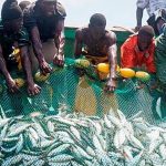 موريتانيا والسنغال تجددان بروتوكول الصيد البحري موريتانيا والسنغال تجددان بروتوكول الصيد البحري