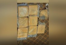 الجمارك تحبط تهريب قنب هندي وتوقف متهمين الجمارك تحبط تهريب قنب هندي وتوقف متهمين