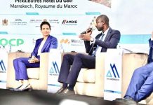 وزير موريتاني: إفريقيا تستفيد 10% فقط من ثرواتها المعدنية وزير موريتاني: إفريقيا تستفيد 10% فقط من ثرواتها المعدنية