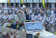 عرض عسكري بمناسبة عيد الاستقلال عرض عسكري بمناسبة عيد الاستقلال