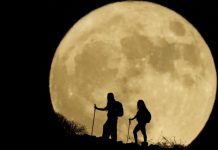 تشاهده بعينيك.. القمر العملاق يزين سماء العالم العربي الليلة تشاهده بعينيك.. القمر العملاق يزين سماء العالم العربي الليلة