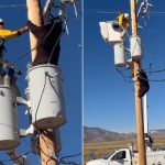 شاهد: دب يتسلّق عمود كهرباء.. وعامل ينقذه قبل لحظات من الصعق شاهد: دب يتسلّق عمود كهرباء.. وعامل ينقذه قبل لحظات من الصعق