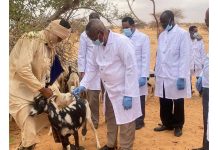 التنمية الحيوانية: أمراض المواشي بتكانت ناتجة عن عدم التلقيح التنمية الحيوانية: أمراض المواشي بتكانت ناتجة عن عدم التلقيح