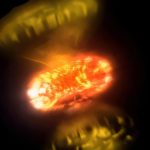 علماء يلتقطون صورا مقرّبة تكشف كيف تنفجر النجوم لحظة بلحظة علماء يلتقطون صورا مقرّبة تكشف كيف تنفجر النجوم لحظة بلحظة