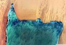 اتفاقية موريتانية فرنسية لحماية تنوع حوض آرگين اتفاقية موريتانية فرنسية لحماية تنوع حوض آرگين