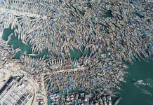 نواذيبو.. استئناف أنشطة الصيد التقليدي بعد توقف دام 75 يوما نواذيبو.. استئناف أنشطة الصيد التقليدي بعد توقف دام 75 يوما