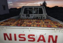 الجمارك تعلن إحباط محاولات لتهريب المحروقات إلى دول الجوار الجمارك تعلن إحباط محاولات لتهريب المحروقات إلى دول الجوار