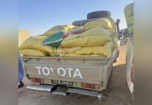 كيديماغا: الجمارك تعلن إحباط محاولة تهريب كميات من الأرز كيديماغا: الجمارك تعلن إحباط محاولة تهريب كميات من الأرز