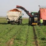 مزارعون في روصو يحتجون للمطالبة بتسويق محصول الأرز مزارعون في روصو يحتجون للمطالبة بتسويق محصول الأرز