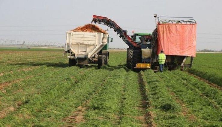 مزارعون في روصو يحتجون للمطالبة بتسويق محصول الأرز مزارعون في روصو يحتجون للمطالبة بتسويق محصول الأرز
