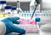 ذرة واحدة تحول نفايات البلاستيك إلى كيميائيات ثمينة ذرة واحدة تحول نفايات البلاستيك إلى كيميائيات ثمينة