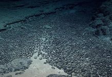 ابتكار ثوري لاستخراج المعادن من أعماق البحار ابتكار ثوري لاستخراج المعادن من أعماق البحار