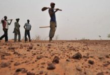 الجيش الجزائري يوقف منقبين موريتانيين قرب الحدود الجيش الجزائري يوقف منقبين موريتانيين قرب الحدود