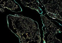 مصابيح تضيء الخلايا وتُمكّن العلماء من متابعة ما يحدث داخلها مصابيح تضيء الخلايا وتُمكّن العلماء من متابعة ما يحدث داخلها