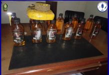 كيهيدي: الدرك يعلن ضبط كمية من القنب الهندي والخمور كيهيدي: الدرك يعلن ضبط كمية من القنب الهندي والخمور