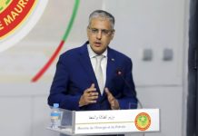 استيراد البنزين من السنغال لسد النقص وجودته مؤكدة استيراد البنزين من السنغال لسد النقص وجودته مؤكدة