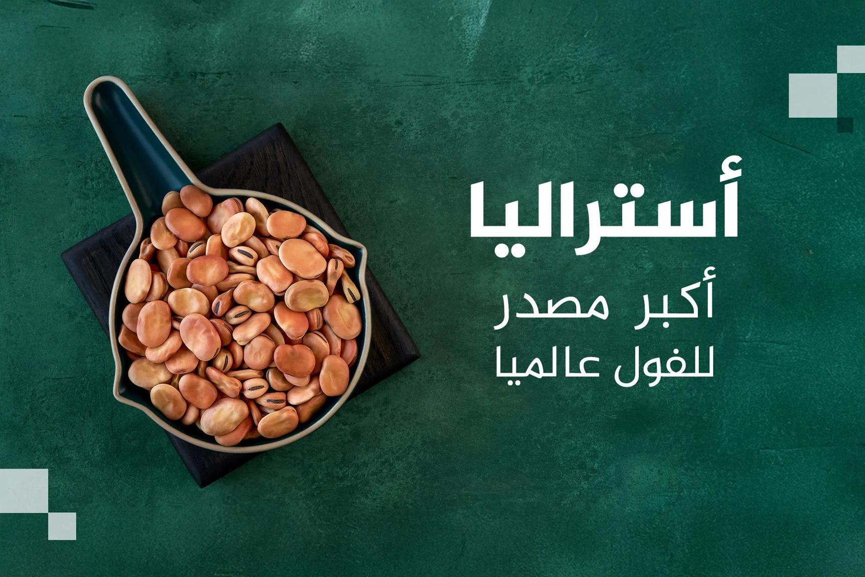 أكبر 10 دول منتجة ومصدرة للفول بالعالم.. بينها دولة عربية أكبر 10 دول منتجة ومصدرة للفول بالعالم.. بينها دولة عربية