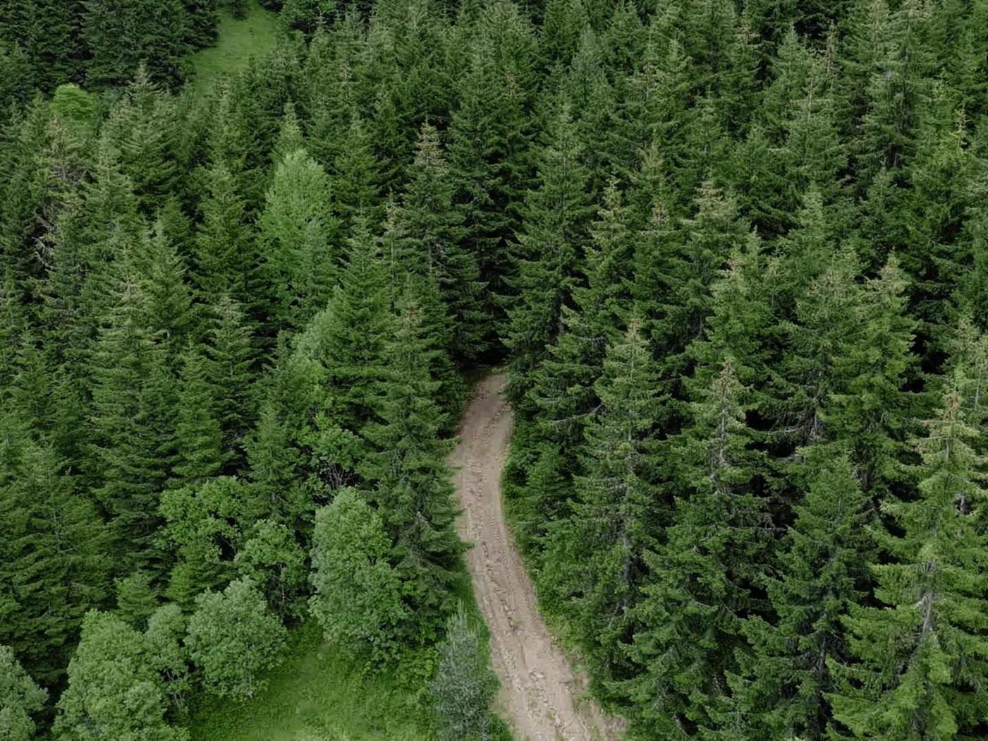 علماء ينقلون إلى البشرية درسا عمره 56 مليون سنة علماء ينقلون إلى البشرية درسا عمره 56 مليون سنة