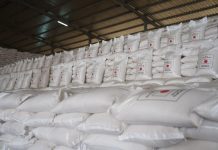 اليابان تقدم لموريتانيا 4331 طناً من الأرز لدعم الأمن الغذائي اليابان تقدم لموريتانيا 4331 طناً من الأرز لدعم الأمن الغذائي