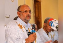 جميل منصور: الدعوة لتغيير المواد المحصنة في الدستور مؤسفة جميل منصور: الدعوة لتغيير المواد المحصنة في الدستور مؤسفة