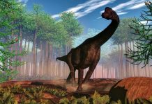 صغار الديناصورات.. الوجبة المفضلة لمفترسات العصر الجوراسي صغار الديناصورات.. الوجبة المفضلة لمفترسات العصر الجوراسي