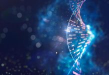 حكاية الجينوم الإفريقي.. العلم يتصفح “أرشيف” البشرية حكاية الجينوم الإفريقي.. العلم يتصفح "أرشيف" البشرية