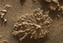 “ماء الكوكب الأحمر: أسئلة كبرى حول الحياة” "ماء الكوكب الأحمر: أسئلة كبرى حول الحياة"