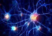 خلف ستار العقل: كيف ينسج الدماغ عوالم غير مرئية؟ خلف ستار العقل: كيف ينسج الدماغ عوالم غير مرئية؟