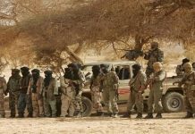 واشنطن تحذر من توسع الجماعات المسلحة في الساحل وزحفها جنوبا واشنطن تحذر من توسع الجماعات المسلحة في الساحل وزحفها جنوبا