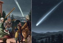 مذنب جديد يشعل حماس الفلكيين وينتظرون نجاته من لهيب الشمس مذنب جديد يشعل حماس الفلكيين وينتظرون نجاته من لهيب الشمس