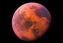 المريخ أصبح أكثر قابلية للحياة بفضل كائنات أرضية غريبة المريخ أصبح أكثر قابلية للحياة بفضل كائنات أرضية غريبة