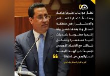 موريتانيا تواصل دورها الفاعل في السلام بالساحل موريتانيا تواصل دورها الفاعل في السلام بالساحل