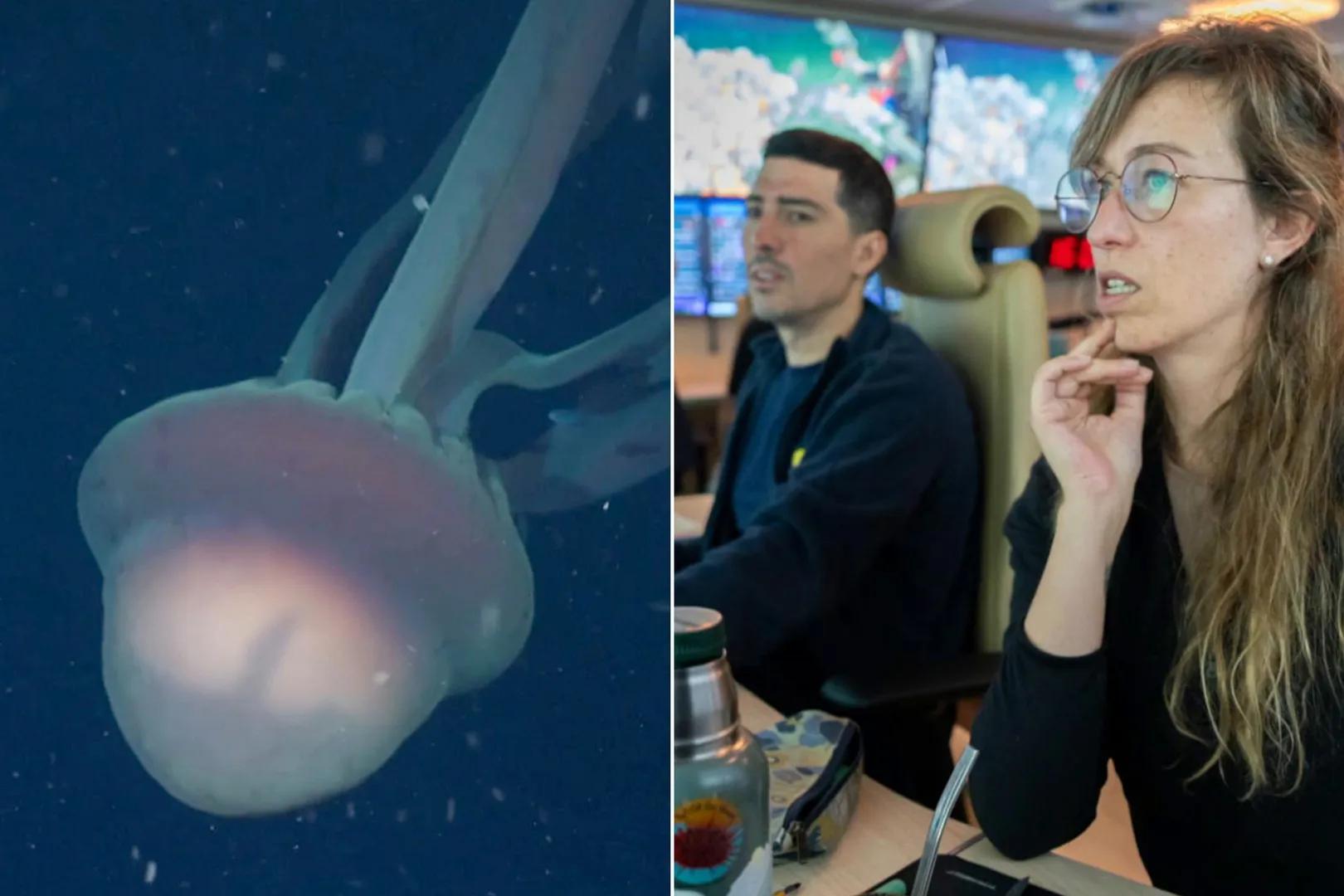 كيف تفاعل المغرّدون مع ظهور كيف تفاعل المغرّدون مع ظهور