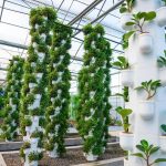 اكتشاف الآلية العجيبة لنباتات “تهزم” موتها الوراثي اكتشاف الآلية العجيبة لنباتات "تهزم" موتها الوراثي