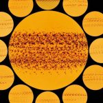 بقع شمسية كثيرة ترسم صورة ديناميكية للنجم الأصفر في عام 2025 بقع شمسية كثيرة ترسم صورة ديناميكية للنجم الأصفر في عام 2025